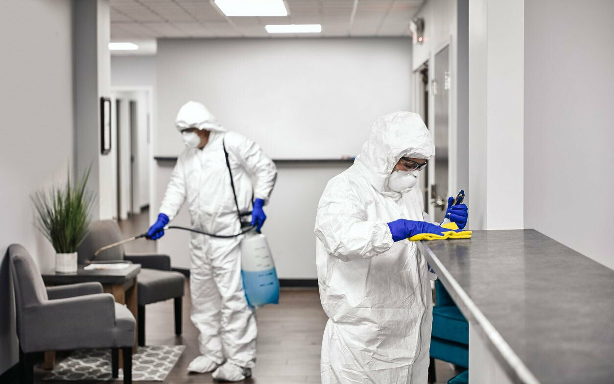 ФОТО Обработка офиса от вредителей в Каринторфе | подробно