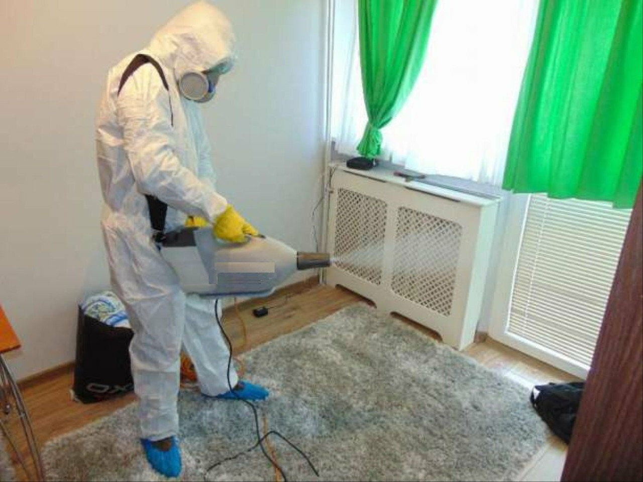 ФОТО Санобработка от насекомых в Каринторфе