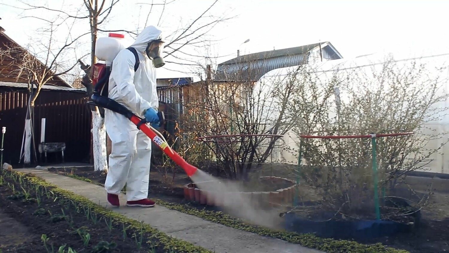 ФОТО Уничтожение муравьёв в Каринторфе