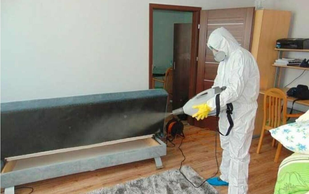 ФОТО Уничтожение блох в Каринторфе