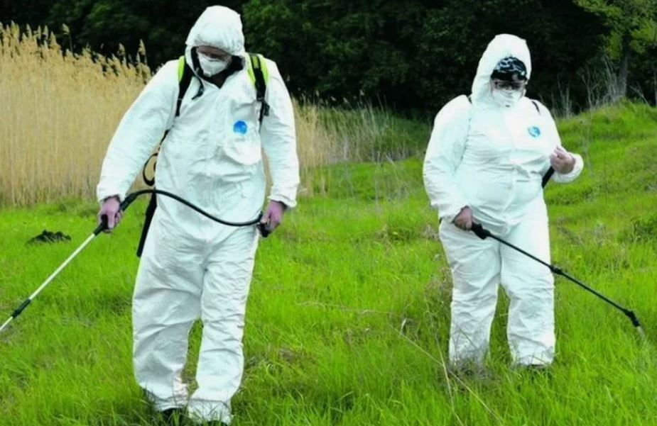 ФОТО Обработка от клещей в Каринторфе