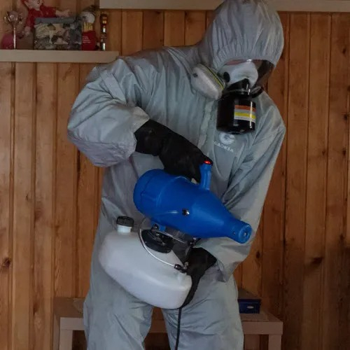 ФОТО Дезинфекция в Каринторфе