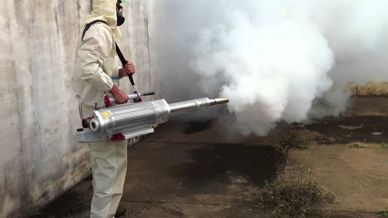 ФОТО Уничтожение мух в Каринторфе