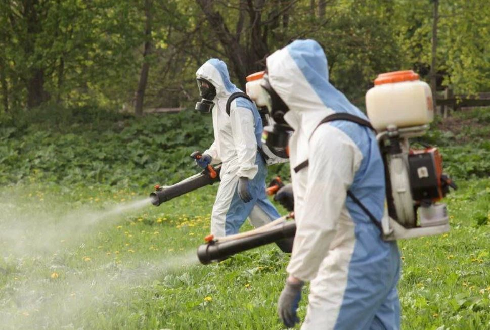 ФОТО Что такое дезинсекция в Каринторфе? | подробно