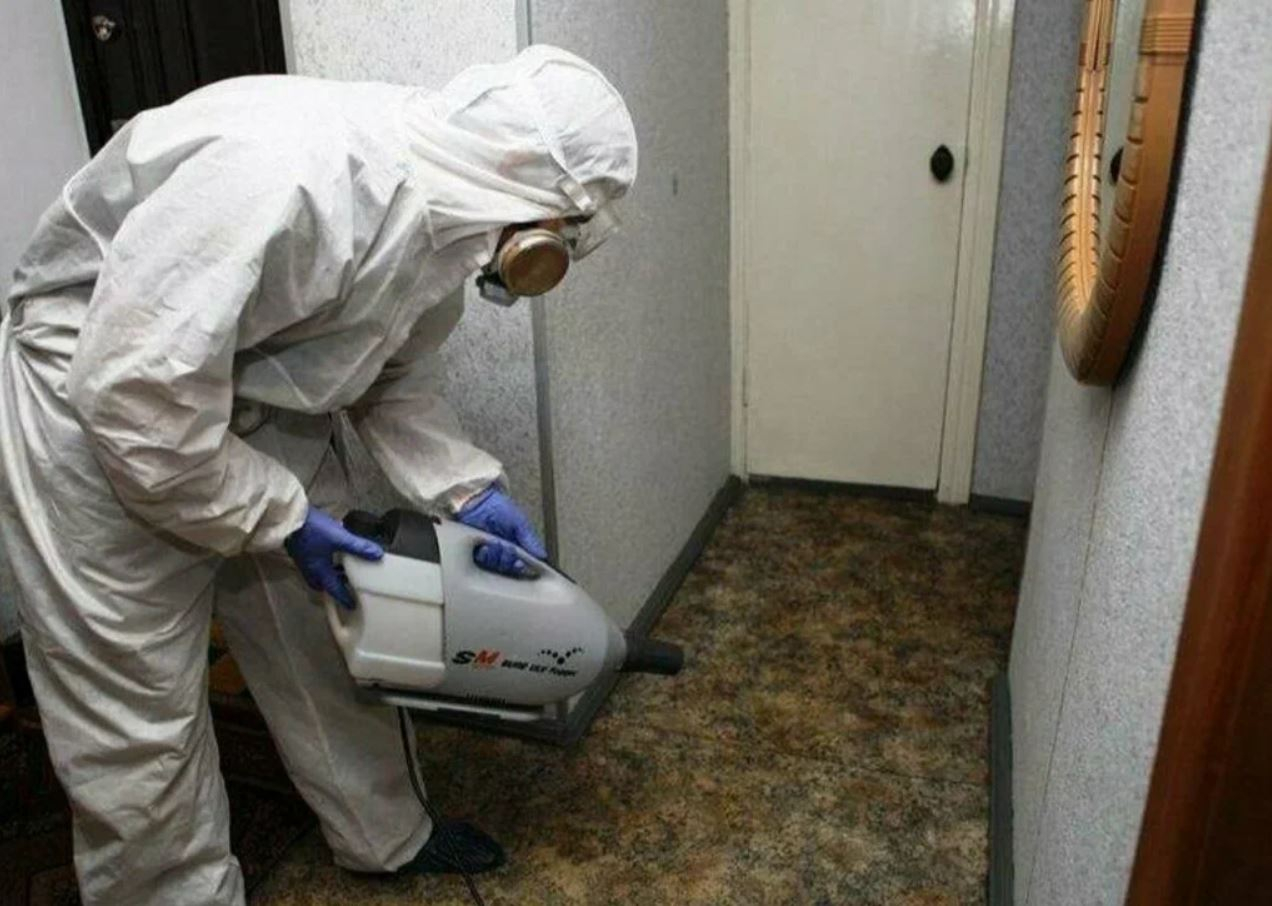 ФОТО Какие методы обработки для дезинсекции существуют в Каринторфе? | подробно