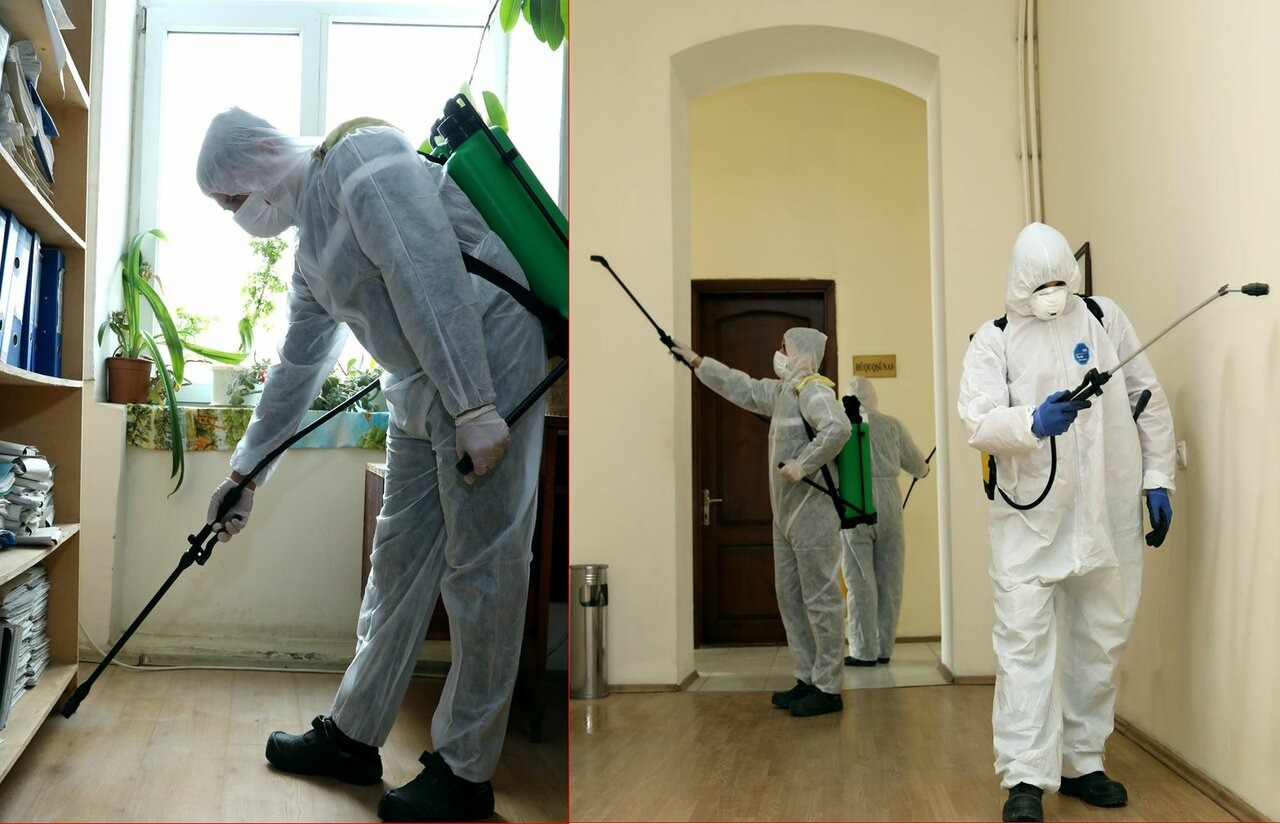 ФОТО Требуется ли лицензия для дезинсекции и дезинфекции в Каринторфе? | подробно