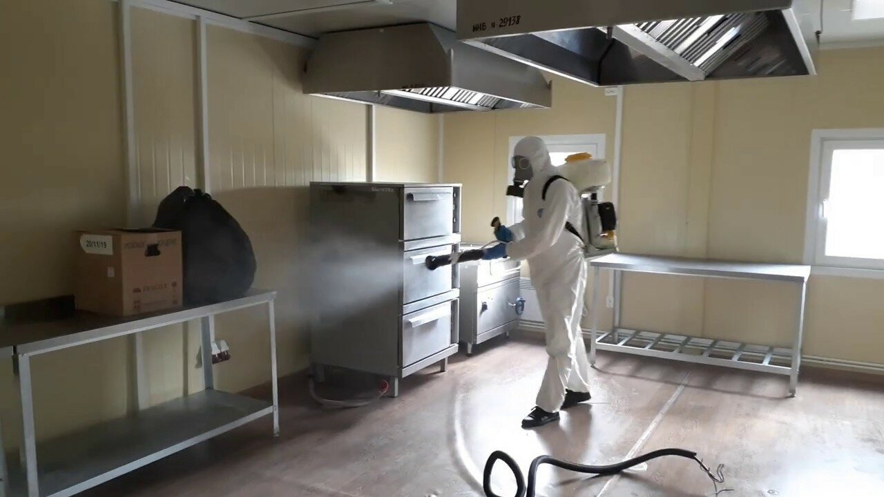 ФОТО Можно ли провести дезинсекцию самостоятельно и какие существуют риски в Каринторфе? | подробно