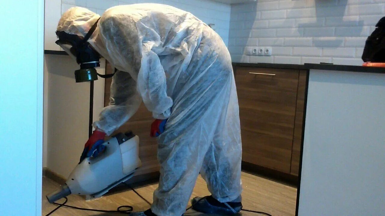 ФОТО Как подготовить домашних животных к обработке от насекомых в Каринторфе? | подробно