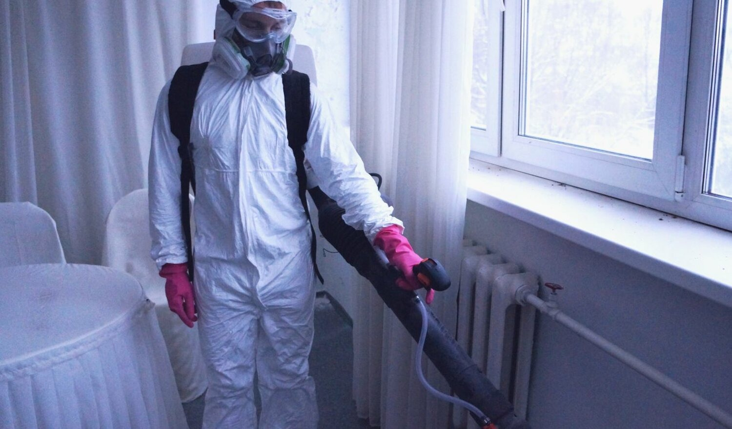 ФОТО Нужно ли выносить растения при дезинсекции в Каринторфе? | подробно