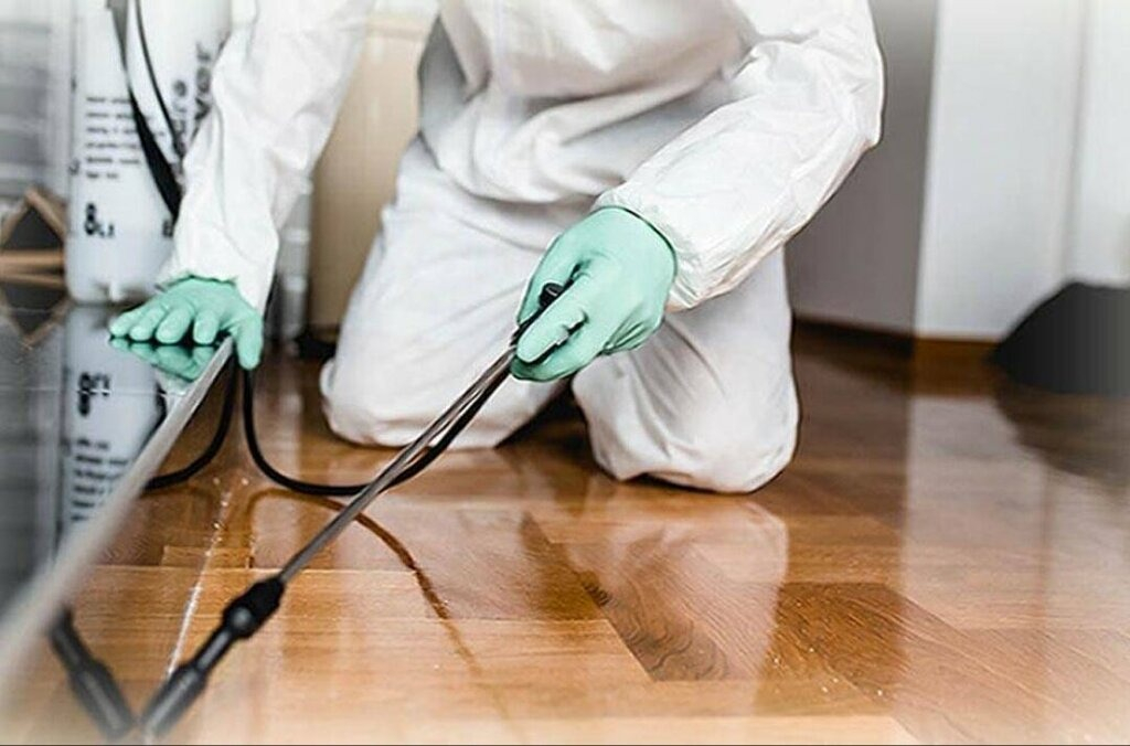 ФОТО Как подготовить вентиляцию при предстоящей дезинсекции в Каринторфе?