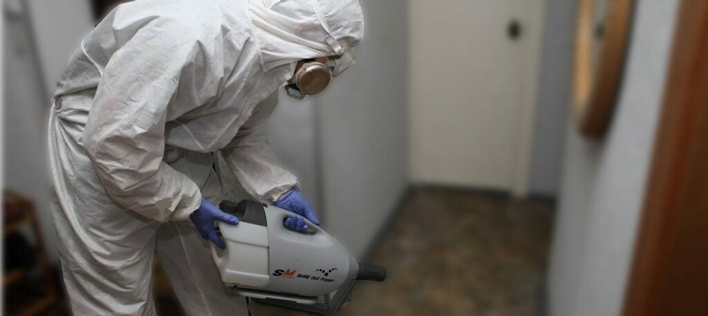 ФОТО Остаются ли следы после обработки квартиры от насекомых в Каринторфе? | подробно