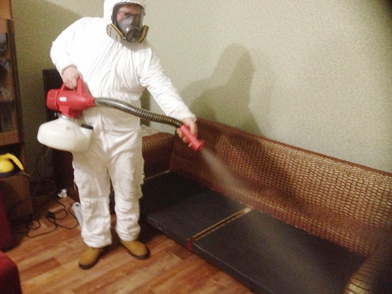 ФОТО Когда можно вернуться в помещение после дезинсекции в Каринторфе? | подробно