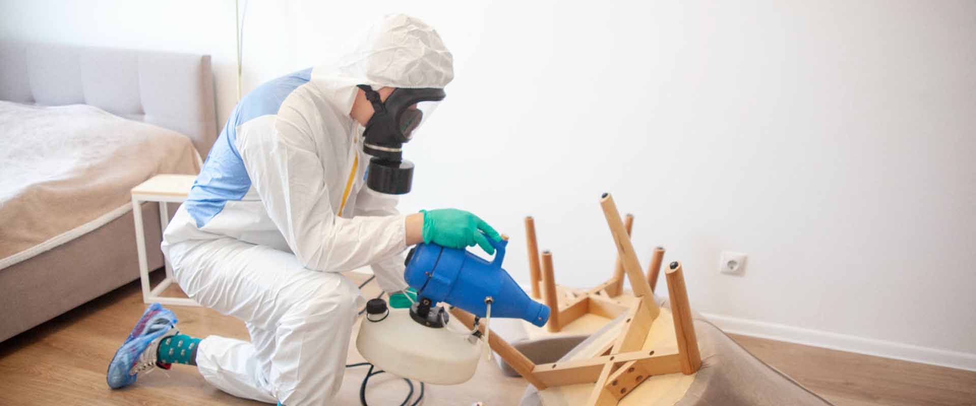 фото: Уничтожение постельных клопов с 1-го раза с гарантией за 30-60 мин. в Каринторфе без предоплаты